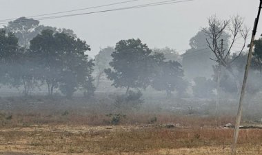 मंदसौर मौसम अपडेट:दो दिन राहत के बाद फिर तेज ठंड का असर, न्यूनतम तापमान 12 डिग्री तक पहुंचा