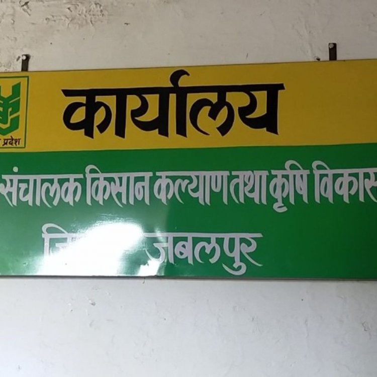 जबलपुर में जैविक खेती को बढ़ावा देने अभियान शुरू:रासायनिक खाद की खपत 40% तक घटाने का लक्ष्य, किसानों को मिलेगा दोहरा फायदा