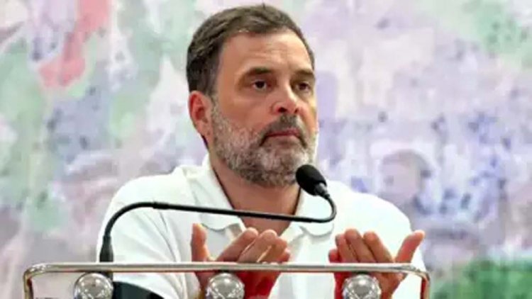 कांग्रेस नेता राहुल गांधी ने कहा- सीनियर नेता बने घूम रहे, बूथ तक नहीं जितवा पाते