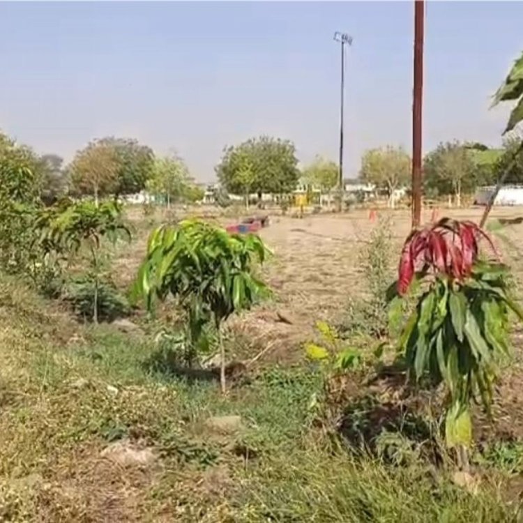 IPS अफसर ने पेड़-पौधे लगाने का दिया आदेश:टीकमगढ़ के TI ने लगा दिए 8 हजार पौधे, पानी के लिए आजमाया ये खास तरीका