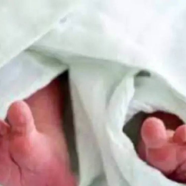 भोपाल के शाहपुरा में झाड़ियों में मिला भ्रूण:फेंकने वाले की तलाश में जुटी पुलिस, सीसीटीवी खंगाले जा रहे